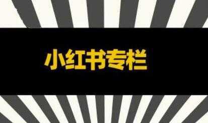 图片[1]-品牌医生《小红书全链营销干货》5个起盘案例，营销策略规划，避坑指南-鸿昇发网课