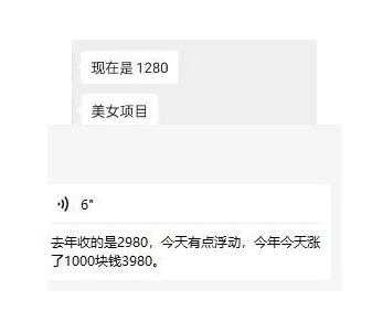 图片[2]-东哲·短视频男女搭档变现，立刻做立刻赚一劳永逸的私域成交项目-鸿昇发网课