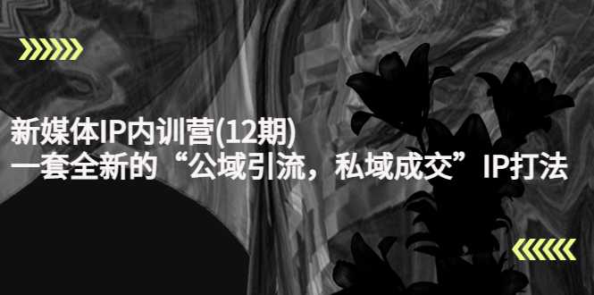 图片[1]-新媒体IP内训营(12期)，一套全新的“公域引流，私域成交”IP打法，直接带走-鸿昇发网课