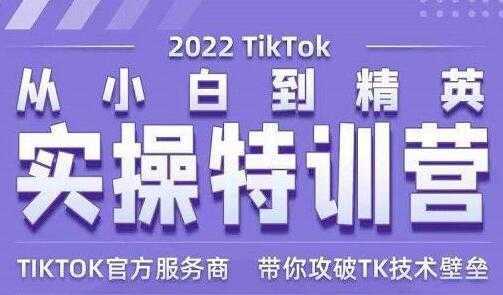 Seven漆《Tiktok从小白到精英实操特训营》带你掌握Tiktok账号运营-鸿昇发网课