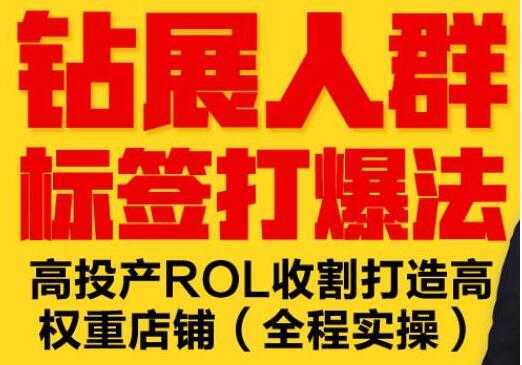 逐鹿《淘宝钻展人群标签打爆法》高投产ROL收割打造高权重店铺(全程实操)-鸿昇发网课