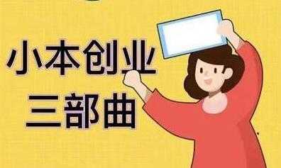 老严《小本创业三部曲》线下创业项目，不讲废话，都是核心干货内容-鸿昇发网课