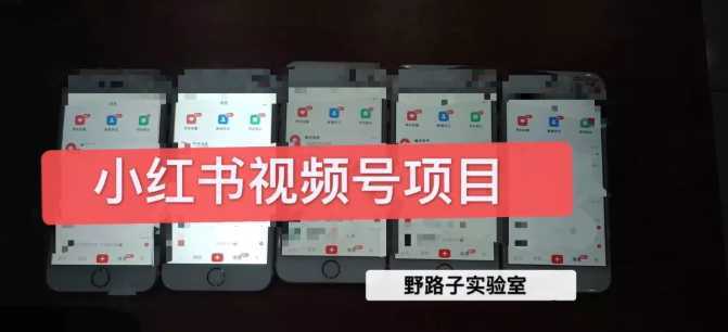 野路子小红书视频号1.0项目，直接上手操作就能赚钱的视频号项目-鸿昇发网课
