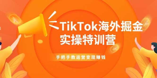 TikTok海外掘金实操特训营：手把手教运营变现赚钱-鸿昇发网课
