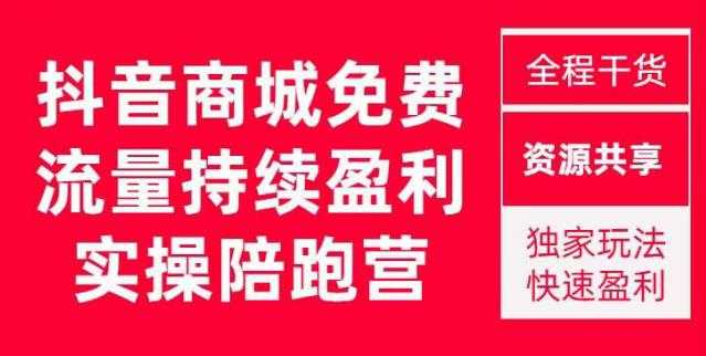 抖音商城搜索持续盈利陪跑成长营，抖音商城搜索从0-1、从1到10的全面解决方案-鸿昇发网课