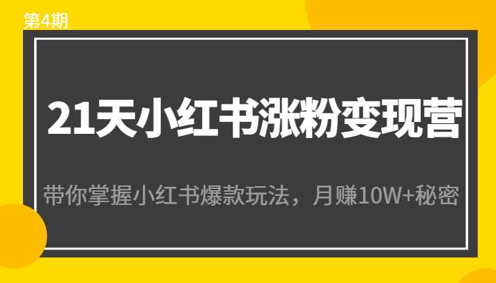 21天小红书涨粉变现营（第4期）：带你掌握小红书爆款玩法，月赚10W+秘密-鸿昇发网课