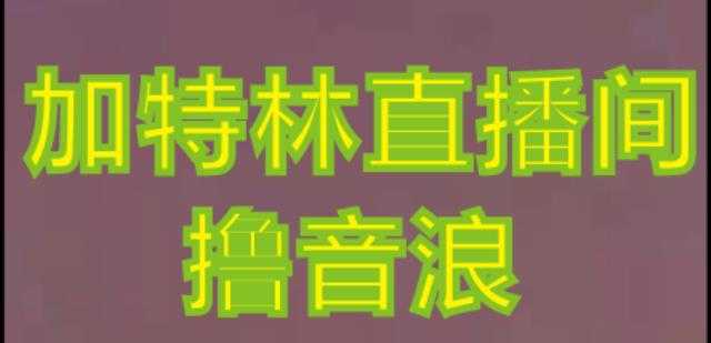 抖音加特林直播间搭建技术，抖音0粉开播，暴力撸音浪，2023新口子，每天800+【素材+详细教程】-鸿昇发网课