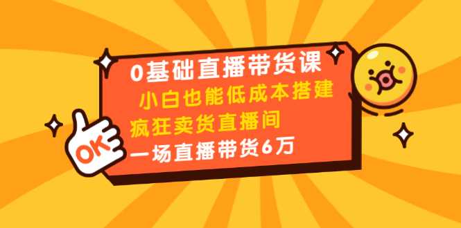 0基础直播带货课：小白也能低成本搭建疯狂卖货直播间：1场直播带货6万-鸿昇发网课