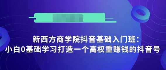 抖音基础入门班:小白0基础学习打造一个高权重赚钱的抖音号-鸿昇发网课
