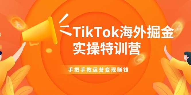 TikTok海外掘金实操特训营:手把手教运营变现赚钱-鸿昇发网课